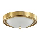 Настенно-потолочный светильник LUMION 5259/2C NINA