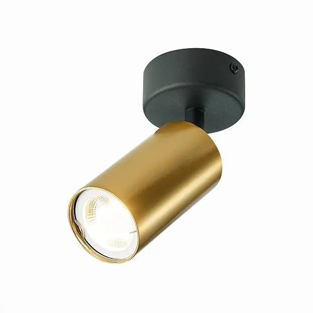 Потолочный светильник ST LUCE ST303.202.01 ST303 Потолочный светильник ST LUCE ST303.202.01 ST303