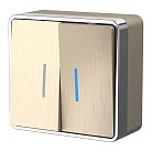 Выключатель двухклавишный с подсветкой Werkel W5020110 Gallant (шампань рифленый) a051043