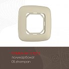 Рамка из поликарбоната на 1 пост Arte Milano 505.05-1.shampan am