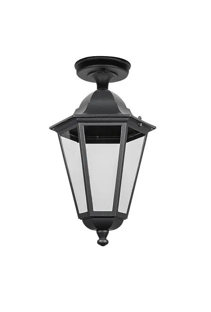 Потолочный светильник уличный Oasis Light 79805EA Bl PETERSBURG ECONOM