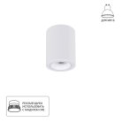 Потолочный светильник Arte Lamp A2267PL-1WH IMAI