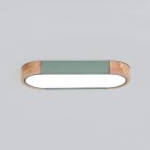 Потолочный Светильник Linn L35 Green ImperiumLoft 193588-26