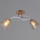 Потолочная люстра Reluce 06003-0.3-02 FG+WT