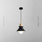 Подвесной светильник TAGA Цвет черный. Lampatron taga-black 2935-7001