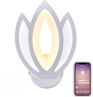 Бра NATALI KOVALTSEVA LED LAMPS 81124/1W