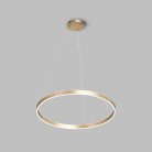 Подвесной светильник Denkirs DK6272-SG RAYDIA