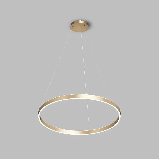 Подвесной светильник Denkirs DK6272-SG RAYDIA