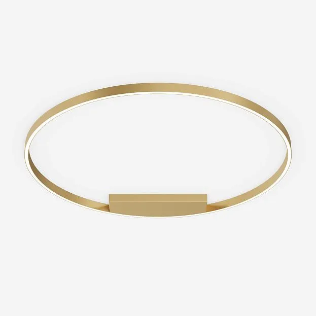 Потолочный светильник Maytoni MOD058CL-L65BSK Rim