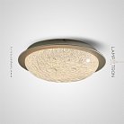 Потолочный светильник MOON SURFACE Lampatron 8639-24127