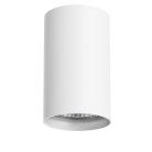 Накладной светильник Lightstar 214436 Rullo