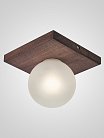 Потолочный светильник Мелодия света 000067479 SS1N
