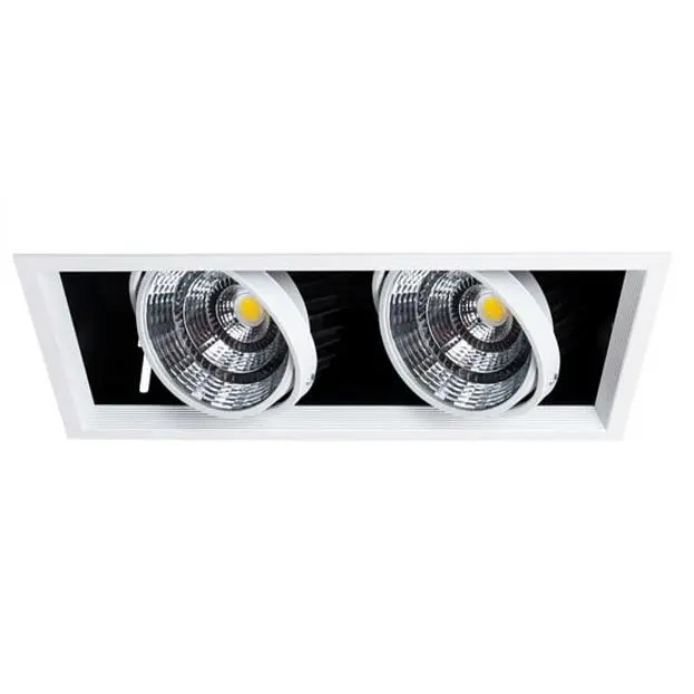 Встраиваемый светильник Arte Lamp A8450PL-2WH MERGA Встраиваемый светильник Arte Lamp A8450PL-2WH MERGA