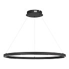 Светильник подвесной ST Luce SL6238.443.01 PARILLA