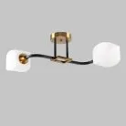 Потолочная люстра Imex MD.52009-2-S-BK+GAB