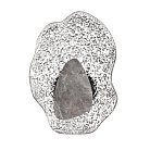 Настенный светильник Odeon light 5461/12WLB CORALLA