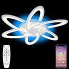 Потолочная люстра Kovaltseva LED LAMPS 81152