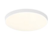 Потолочный светильник Ambrella light FZ1220
