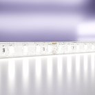 Светодиодная лента Maytoni 10147 24В