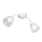 Потолочный светильник Vitaluce V3737-0/2PL