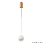 Подвесной светодиодный светильник Crystal Lux Caro SP Led White