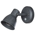 Светильник Настенный Arte Lamp A1677AP-1GY JOVI