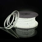 Светодиодная лента Elektrostandard LS015 220V a053640