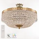 Потолочная люстра Bohemia 19011/45IV/LED-DIM G