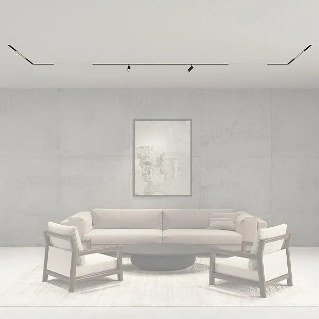 Комплект трековой системы Denkirs SETSMART06