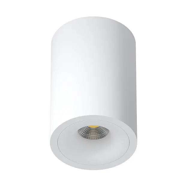 Накладной светильник Ledron MJ1027 White 220mm Накладной светильник Ledron MJ1027 White 220mm