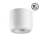 Светильник накладной влагозащищённый Novotech 359439 LISSE