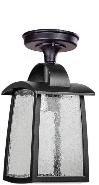Потолочный светильник уличный Oasis Light 2736 05A Bl FRANKFURT I Потолочный светильник уличный Oasis Light 2736 05A Bl FRANKFURT I
