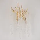 Бра iLamp W8813-2 GD Savage