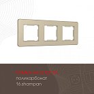 Рамка из поликарбоната на 3 поста Arte Milano 502.16-3.shampan am