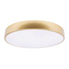 Потолочный светильник Loft IT 10228/A Flims