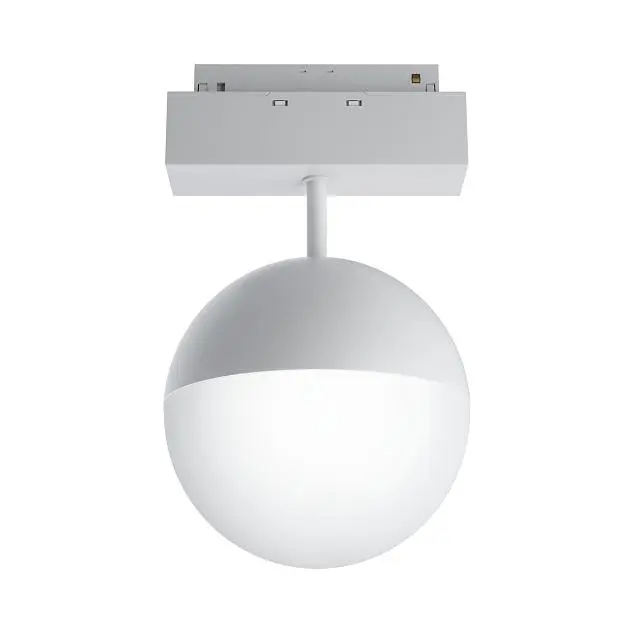 Трековый светильник Maytoni TR017-2-10W3K-W Kiat