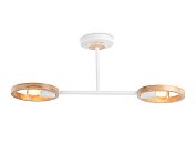 Подвесной светильник Ambrella light TR8243/2 WH/LWD