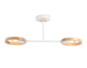 Подвесной светильник Ambrella light TR8243/2 WH/LWD