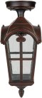 Потолочный светильник уличный Oasis Light 86105A R PORTO