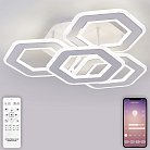 Потолочная люстра светодиодная Natali Kovaltseva HIGH-TECH LED LAMPS 82060 Damask