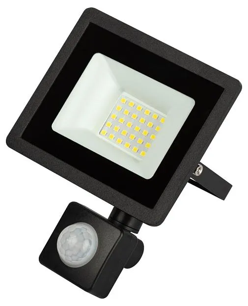 Прожектор уличный ЭРА LPR-042-2-65K-030