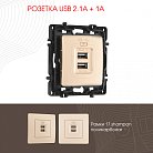 Розетка USB 2.1А+1А Arte Milano 217.46-1.shampan am