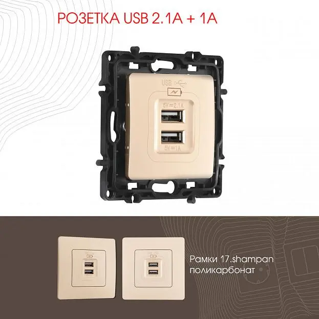 Розетка USB 2.1А+1А Arte Milano 217.46-1.shampan am Розетка USB 2.1А+1А Arte Milano 217.46-1.shampan am