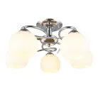 Люстра потолочная Omnilux OML-25107-05 Casoria