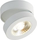Накладной светильник Donolux DL18962R12W1W SUN
