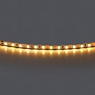 Лента теплого белого свечения 24V Lightstar 420503