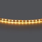 Лента теплого белого свечения 24V Lightstar 420503