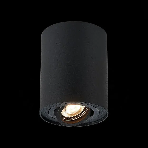 Потолочный светильник ST Luce ST108.417.01 Потолочный светильник ST Luce ST108.417.01