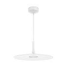 Подвесной светильник Arlight 035999 Fiore