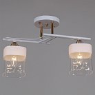 Потолочная люстра Reluce 06096-0.3-02 WH+FG